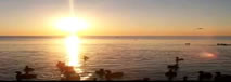 Mar Chiquita - Miramar - Cordoba - Argentina