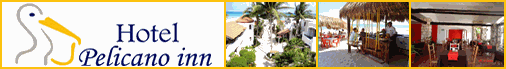 Hotel Pelicano - Playa del Carmen